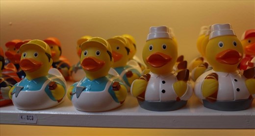 The Amsterdam Duck Store. - one for just about every possible profession! The store owner appreciated my asking permission to take photos.