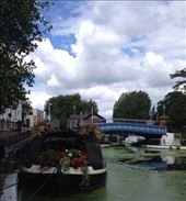 by emptynester, Views[211]