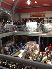 by emptynester, Views[206]