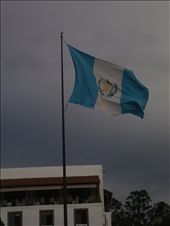 by emsussman, Views[219]