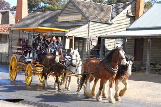 Lets go for a ride in old times. I  took this picture at Sovereign Hill, Vic. This ride is a part of goldmine tour at goldmine museum site.