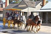 Lets go for a ride in old times. I  took this picture at Sovereign Hill, Vic. This ride is a part of goldmine tour at goldmine museum site.: by endlessvoage, Views[782]