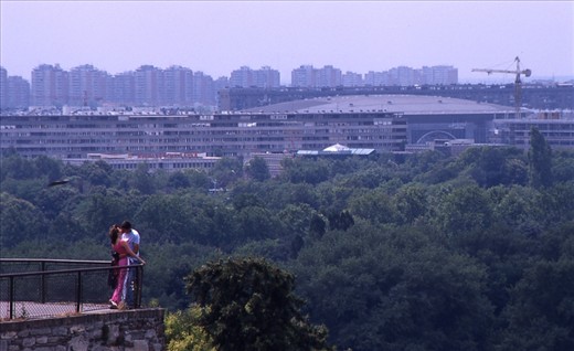 The Children of Love 