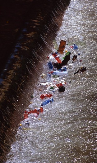 It is the cycle of life...