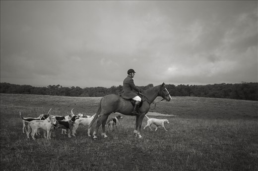 The Hunt Master calms down the Hounds and gets in position to open the Hunt.