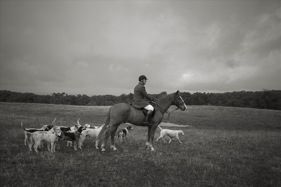 The Hunt Master calms down the Hounds and gets in position to open the Hunt.