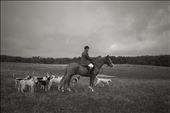 The Hunt Master calms down the Hounds and gets in position to open the Hunt.: by englishfoxhuntaustralia, Views[601]