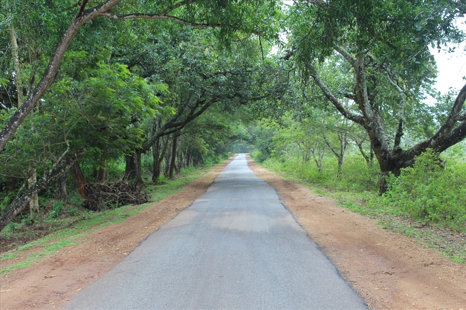 A Road of peace in the village limits of south india