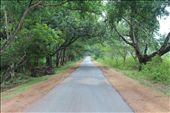 A Road of peace in the village limits of south india: by enigma, Views[610]
