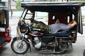 Heir to the jeepney as ¨king of the Philippine road¨ are tricycles, which are quite similar to the tuktuks of Thailand.  Some tricycles, like the one in the picture, could accommodate --- sardine-in-a-can-like --- eight passengers. Here, the driver takes a power nap in his cab, under the blistering heat of the sun --- this is truly a life on the road.: by enplim, Views[1921]