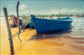 Guarda Do Embau - Brasil 2014: by enriquemj, Views[613]
