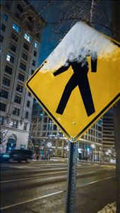 A stop sign, glowing in the darkness after a light March snow.: by eobrien, Views[252]