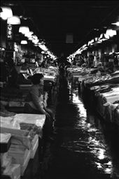 Lady at her stall waiting for customers, Noryangjin fish market, Seoul.: by ericaclarephotos, Views[354]