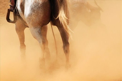 A riderless horse watches and prepares as his rider catches the calf he has just roped. The man is only just visible through the dust.