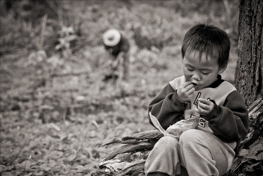  On the coffee plantations in the Bolaven Plateau of Laos, childcare does not fa