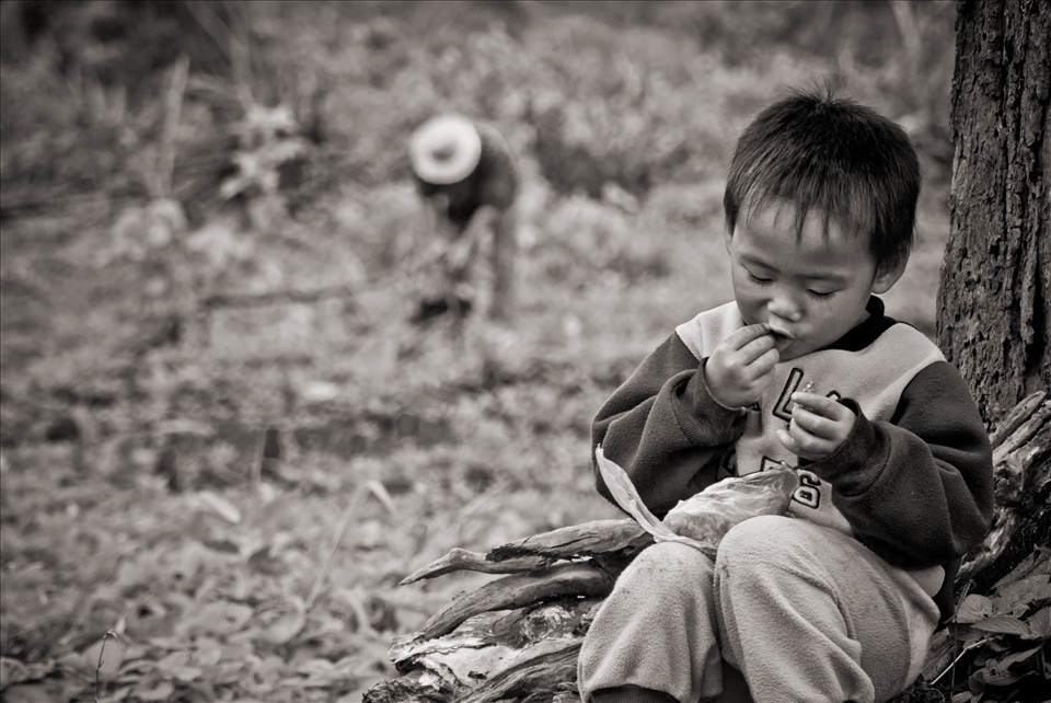  On the coffee plantations in the Bolaven Plateau of Laos, childcare does not fa