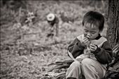  On the coffee plantations in the Bolaven Plateau of Laos, childcare does not fa: by ericb, Views[359]