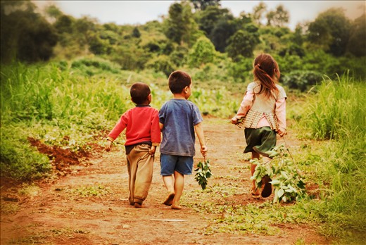 In the Bolaven Plateau on a coffee plantation, children head back to their humbl