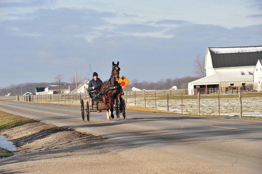 Menno Lengacher driving his buggy to Schmuckers' market