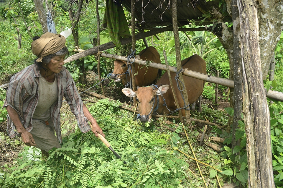 Everyone has to work in a poor society, no regards to gender, age, physics