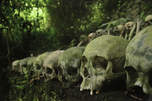 Beneath the magic tree lies the elderly for eternity - An open gravesite