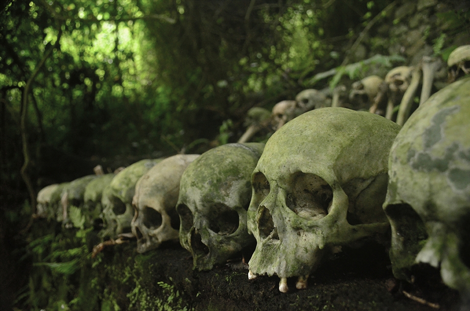 Beneath the magic tree lies the elderly for eternity - An open gravesite