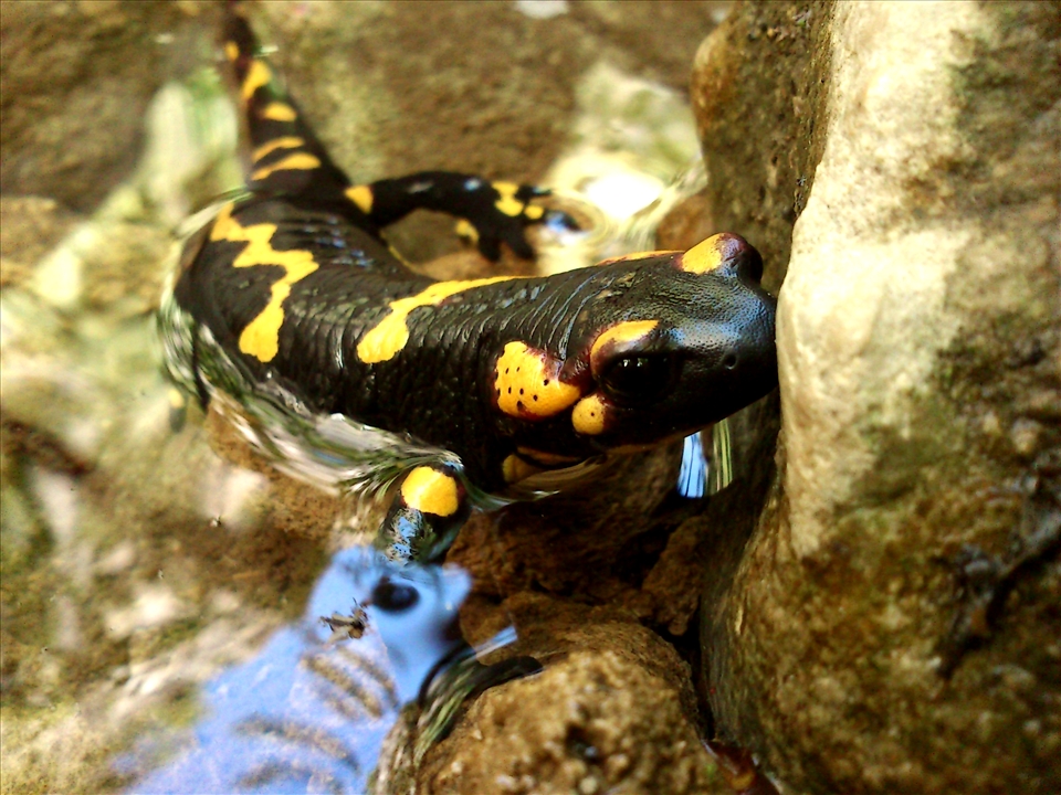 ... that keep a lot of secrets... 