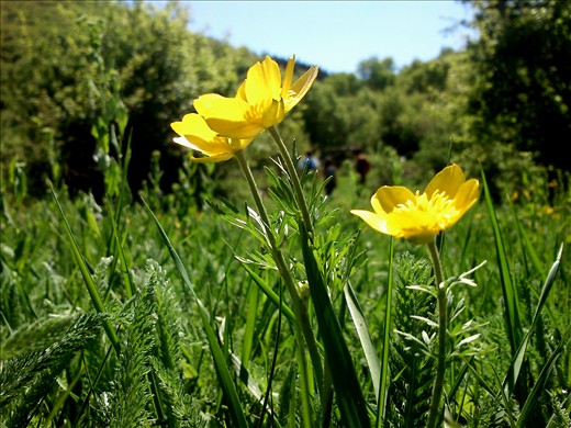 ... and where harmony and peace prevail...
