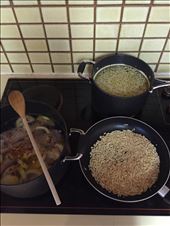 Multi-tasking: by eriwhitby, Views[262]