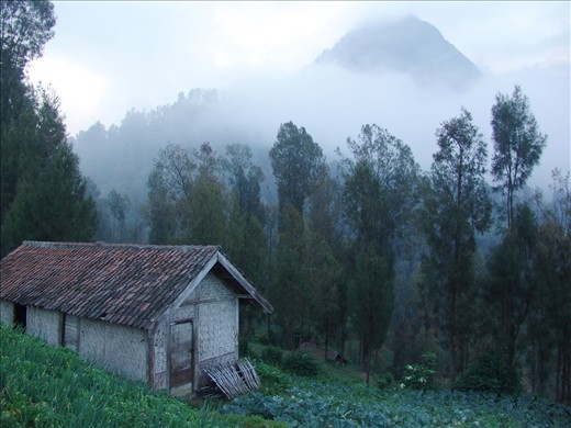 Although they seems so poor but they are happy just the way it is