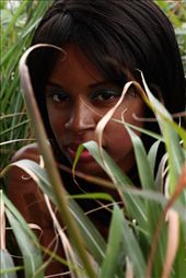 by ernestallarie, Views[199]