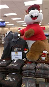 Buc'ees!: by erraticallyabstract, Views[616]