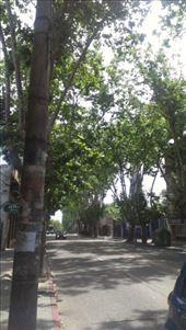 Bus Stop: by erraticallyabstract, Views[133]