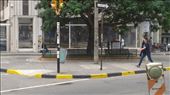 The trash can hanging on that pole is city trash to try to cut down on littering: by erraticallyabstract, Views[242]