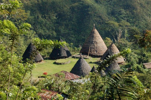WAE REBO, THEY ONLY HAVE 7 HOUSE, NOT LESS AND NOT MORE. EVERY HOUSE THERE'S MAXIMUM 7 FAMILY INSIDE THERE. THE BIGGEST HOUSE LIVED BY THE CHIEF OF THE VILLAGE AND THE OLDER (7 FAMILY INSIDE)