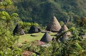 WAE REBO, THEY ONLY HAVE 7 HOUSE, NOT LESS AND NOT MORE. EVERY HOUSE THERE'S MAXIMUM 7 FAMILY INSIDE THERE. THE BIGGEST HOUSE LIVED BY THE CHIEF OF THE VILLAGE AND THE OLDER (7 FAMILY INSIDE): by errie_crything, Views[550]