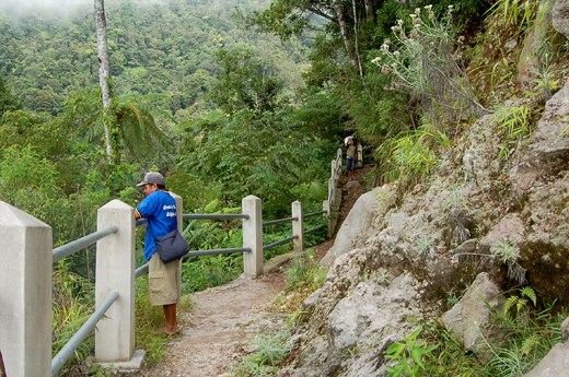 THIS IS THE TRACK WE SHOULD TAKE TO THE WAE REBO VILLAGE , IT NEED 4 HOUR TRAKKING. ALL TH PEOPLE THERE VERY FRIENDLY, THEY ALWAYS INTRODUCE THEM SELF EVERYTIME I MEET THEM ON MY WAY TO THE VILLAGE