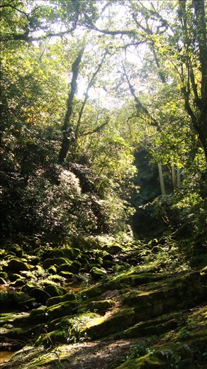 Once I got to the top I found this river which feeds the green waters of  