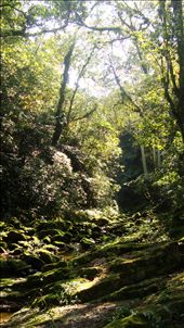 Once I got to the top I found this river which feeds the green waters of  