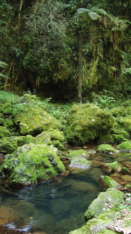 Here we can appreciate the deep green colored waters characteristic of this place; the color spreads even where this river is born and in the low areas.