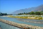 On my way to Sonamarg, captured the beautiful Jhelum River.: by eshabhatnagar, Views[1032]