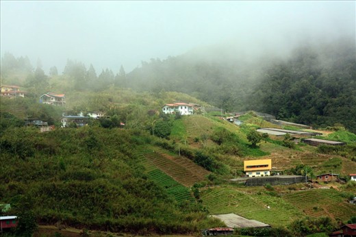 A morning at Kundasang village and common population people here working as farmers. It’s located at district of Sabah, called Ranau. 
