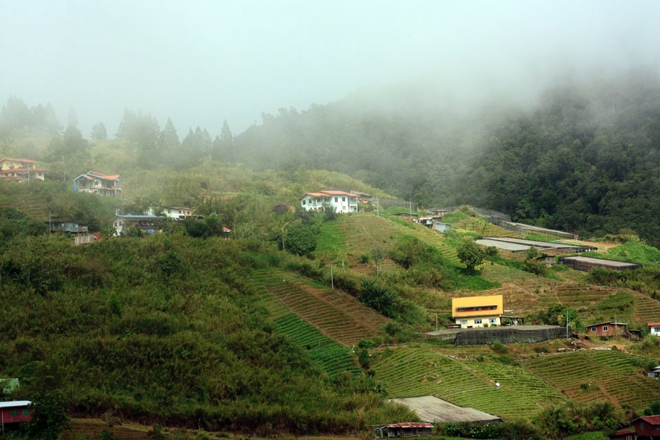 A morning at Kundasang village and common population people here working as farmers. It’s located at district of Sabah, called Ranau. 
