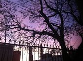 A mexican sunrise from my front garden.: by esthermanning, Views[327]