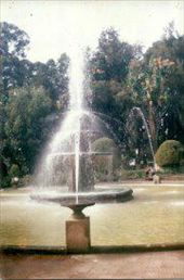 by ethiobeach, Views[219]