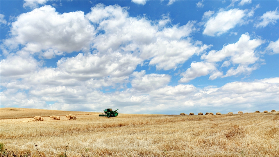 


A view of ancient fortress in Gabala
Qabala is ancient capital of the Caucasian Albania. Archeological evidence indicates that the city functioned as the capital of the Caucasian Albania as early as the 4th century BC.[4] Ruins of the ancient town are in 15 km from regional center, allocated on the territory between Garachay and Jourluchay rivers.[5] Qabala was located in the middle of the 2500 old Silk Road and was mentioned in works of Pliny the Younger as 