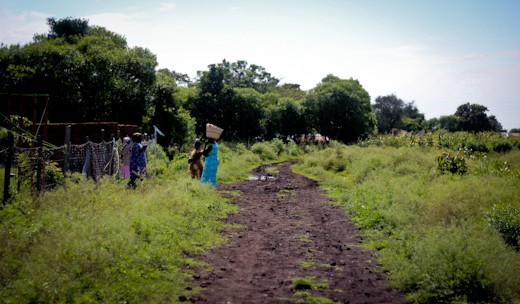 The road into Odede, a small village in western Kenya.