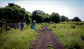 The road into Odede, a small village in western Kenya.: by etravel, Views[1123]