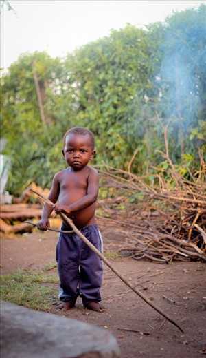 Our next door neighbour, Kooka, was suspicious of us, and very shy.