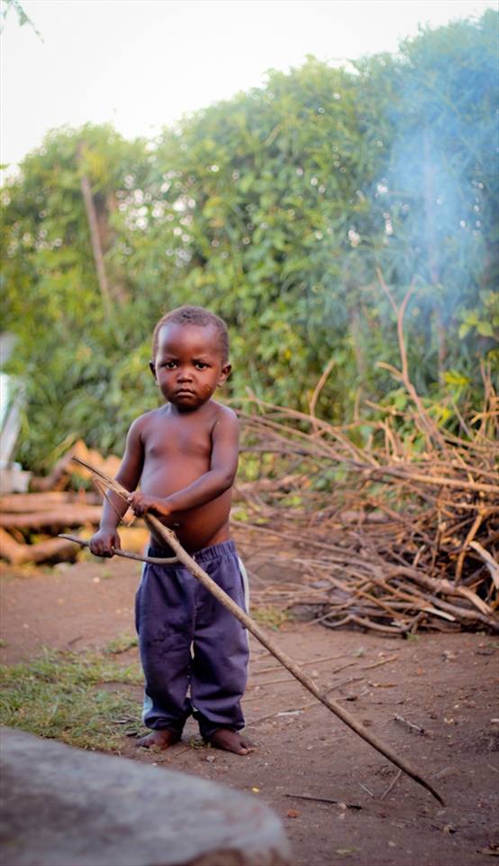 Our next door neighbour, Kooka, was suspicious of us, and very shy.